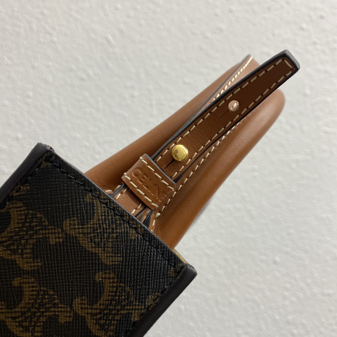 Celine Mini Vertical Cabas In Triomphe Canvas And Calfskin With Celine Print Tan 193302